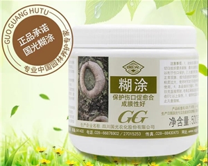 國光糊涂