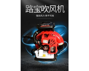 路寶吹風機